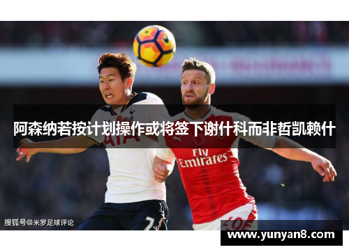 阿森纳若按计划操作或将签下谢什科而非哲凯赖什