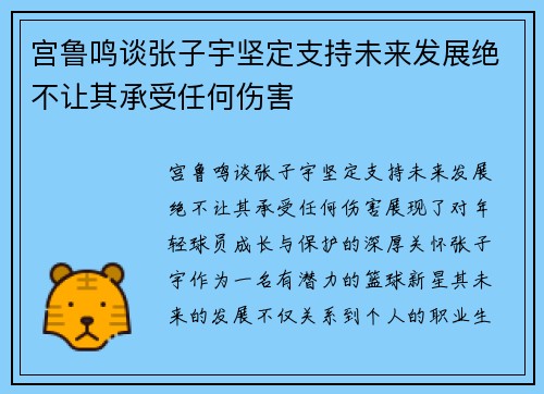 宫鲁鸣谈张子宇坚定支持未来发展绝不让其承受任何伤害